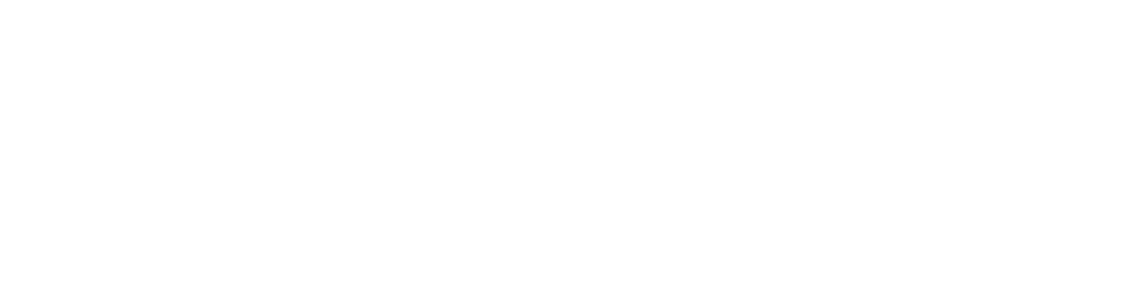 nix18 logo